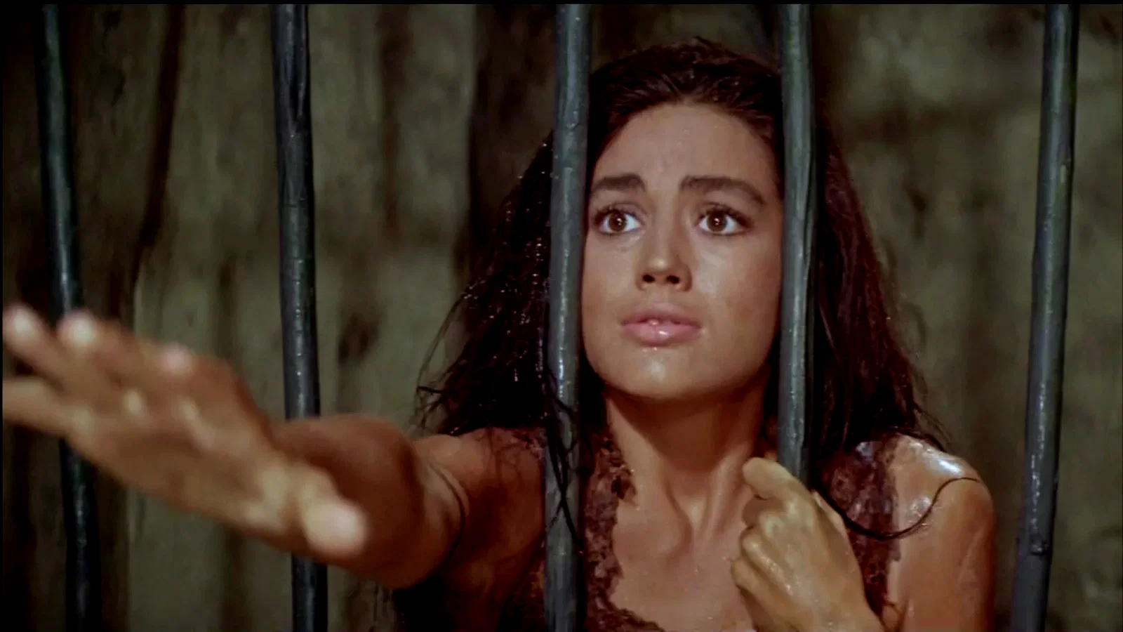 Photo 3 du film : La planete des singes