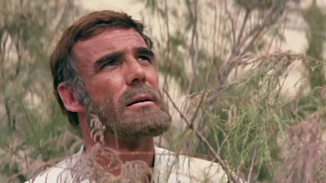 Photo du film : La planete des singes