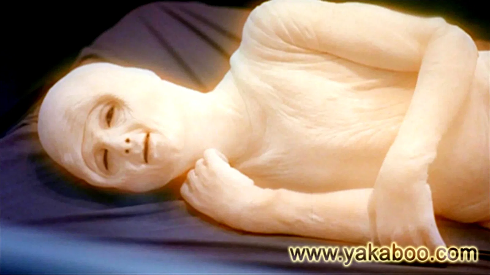Photo 4 du film : Cocoon le retour