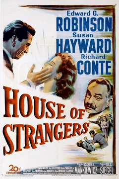 Affiche du film La maison des étrangers