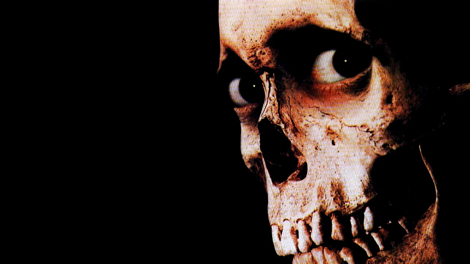 Photo 11 du film : Evil dead 2