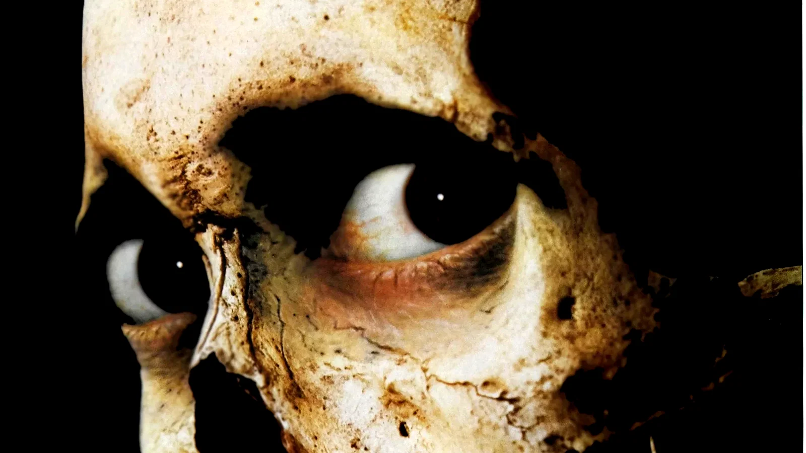 Photo 12 du film : Evil dead 2