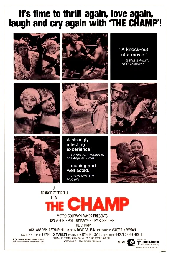Affiche du film : Le champion