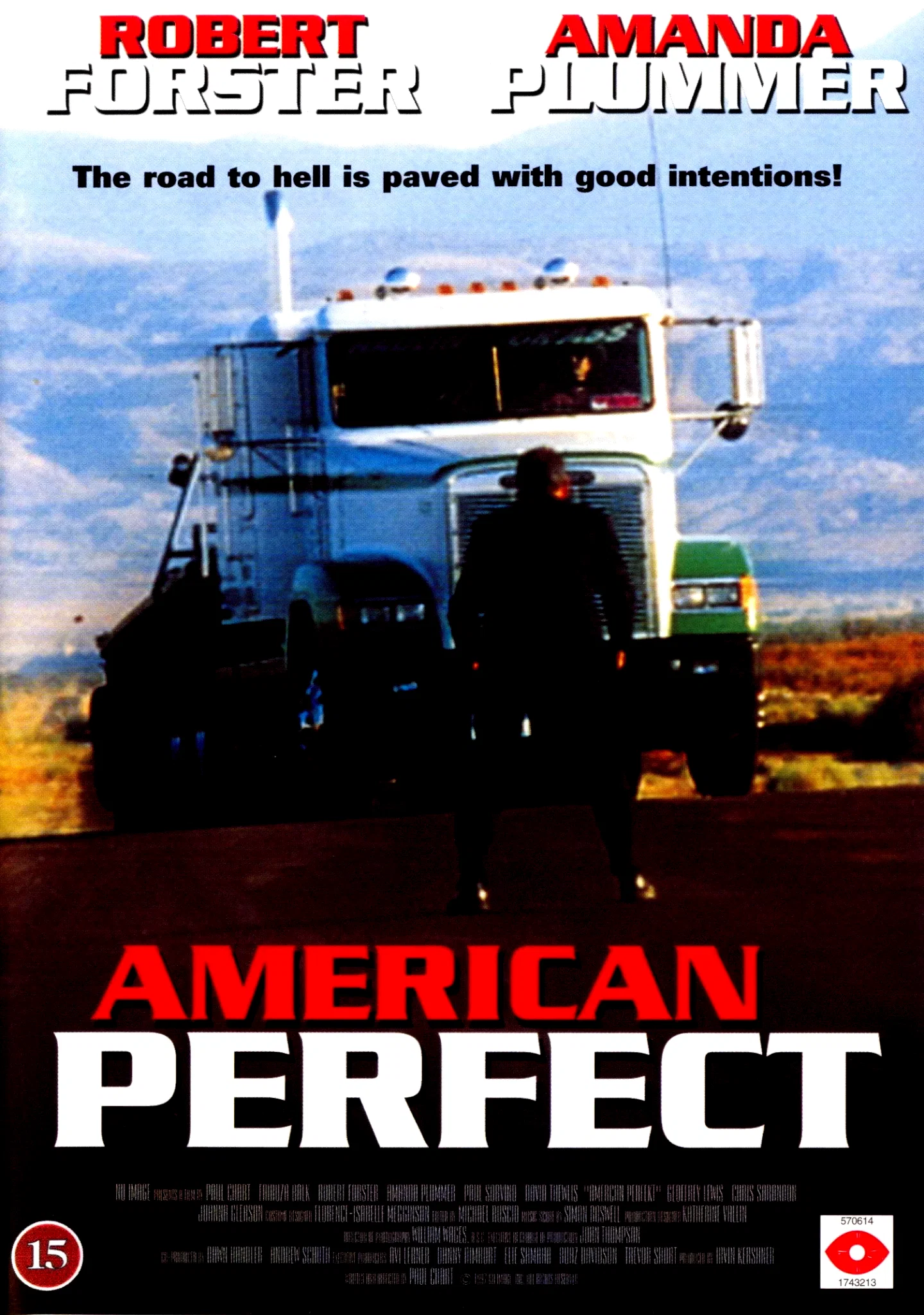 Affiche du film : American perfekt