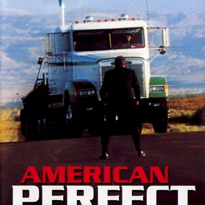 Photo du film : American perfekt