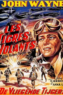 Affiche du film Les tigres volants