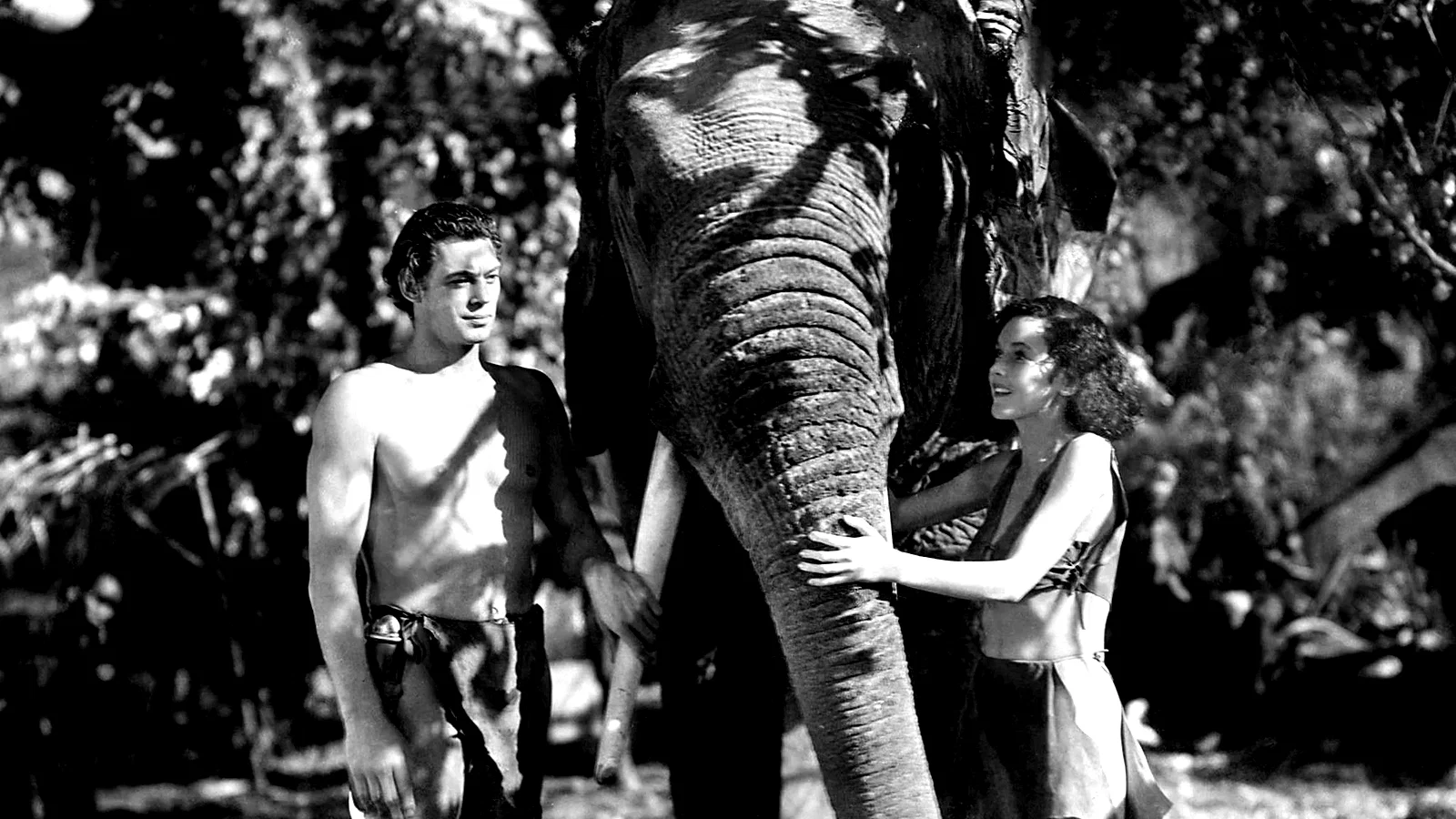 Photo 5 du film : Tarzan et sa compagne
