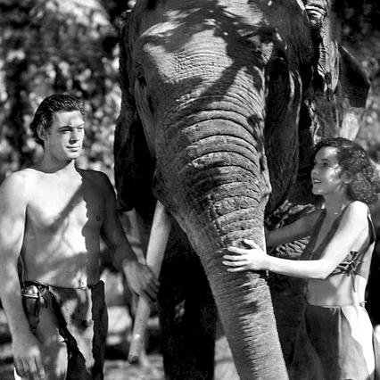 Miniature photo du film : Tarzan et sa compagne