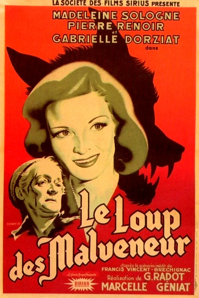 Affiche du film : Le loup des malveneur