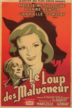 Affiche du film Le loup des malveneur