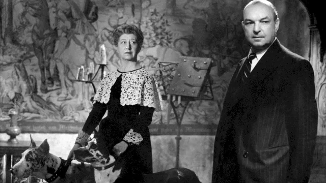 Photo 2 du film : Le loup des malveneur