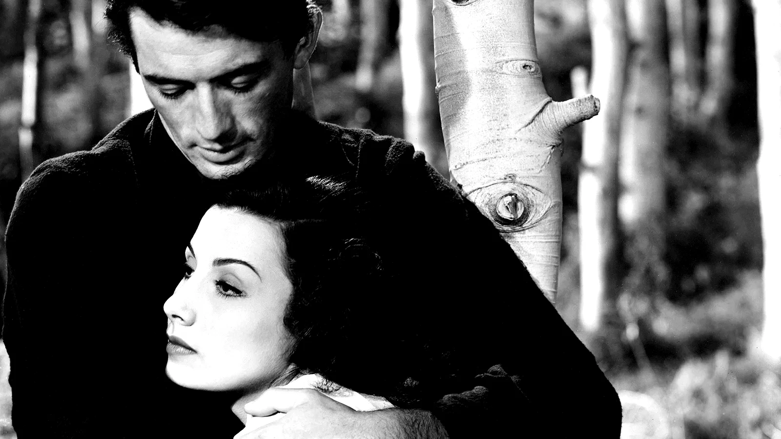 Photo 2 du film : Days of glory