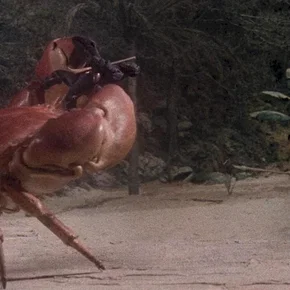Photo du film : L'ile mysterieuse