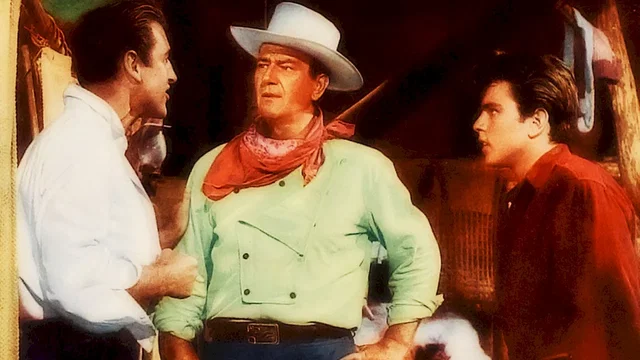 Photo 2 du film : Le grand sam