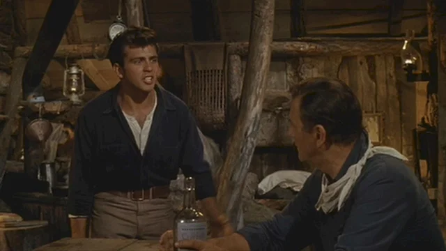Photo 7 du film : Le grand sam