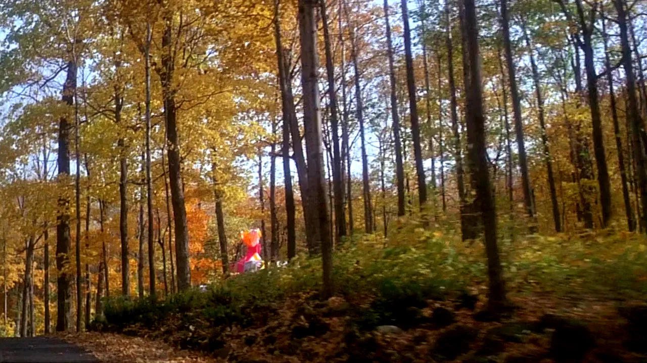 Photo 9 du film : Sweet movie