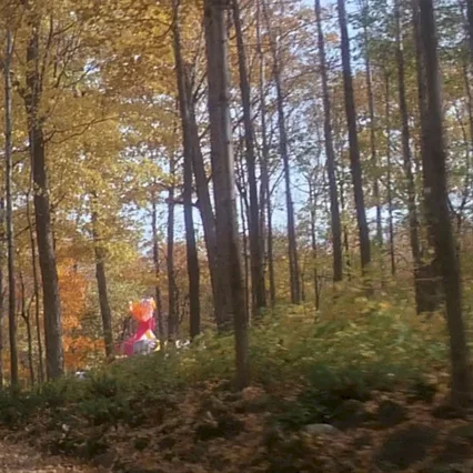 Miniature photo du film : Sweet movie
