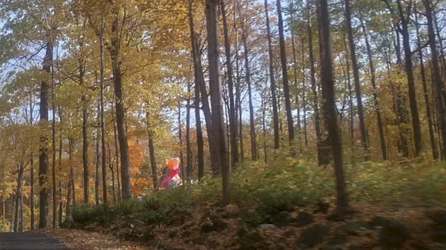 Photo du film : Sweet movie