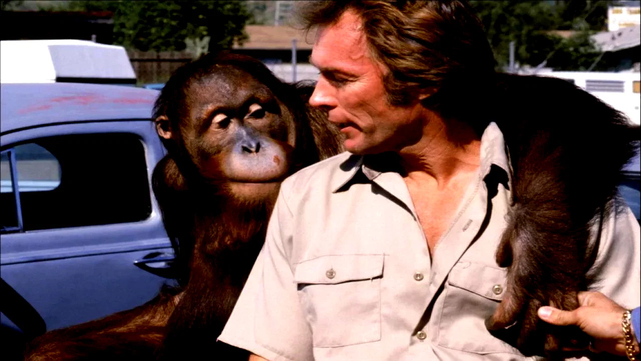 Photo 6 du film : Doux, dur et dingue