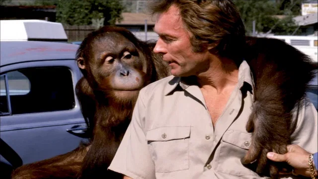 Photo du film : Doux, dur et dingue