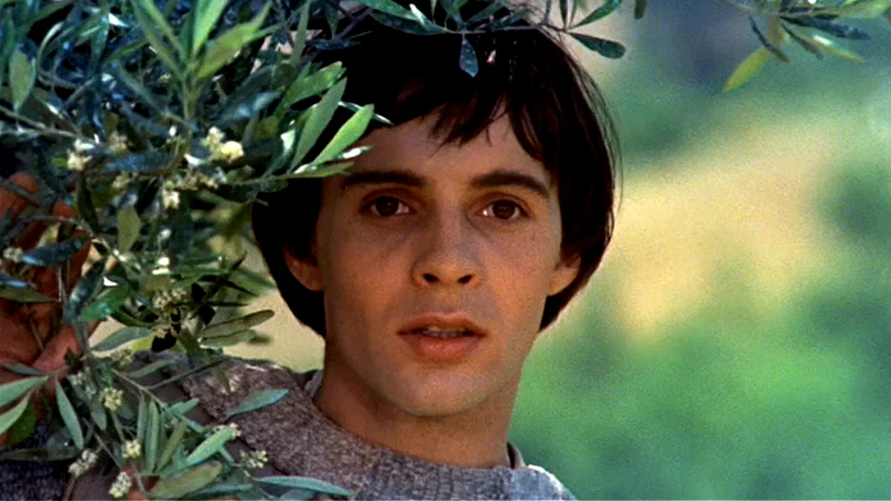 Photo du film : Francois et le chemin du soleil