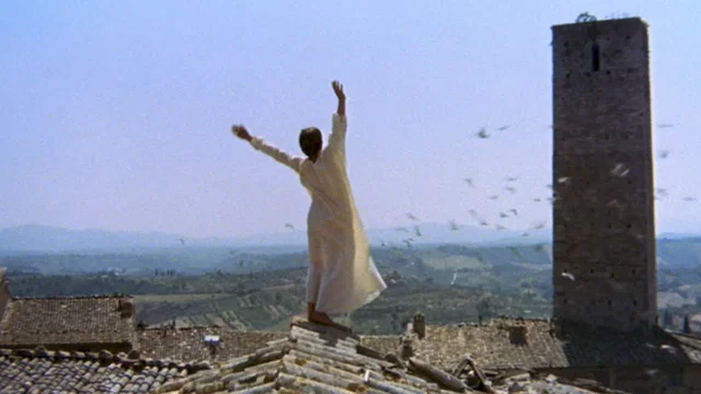 Photo 3 du film : Francois et le chemin du soleil