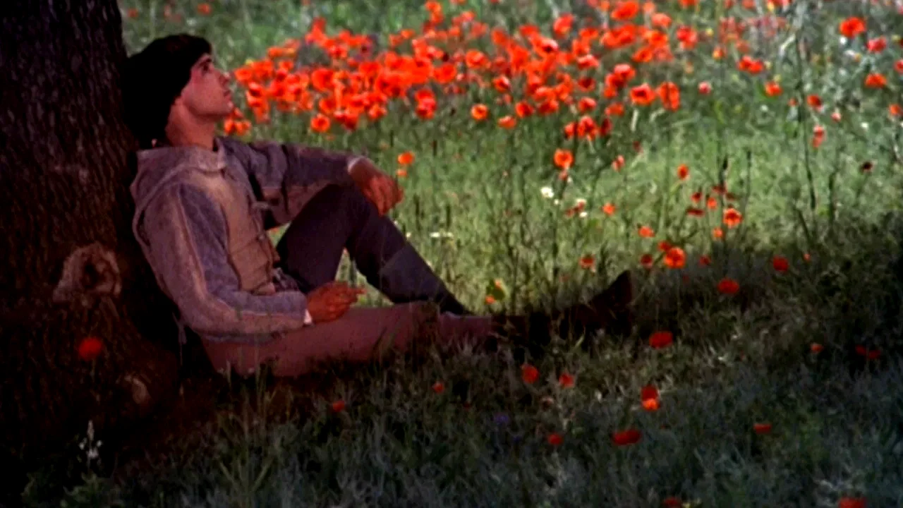 Photo du film : Francois et le chemin du soleil