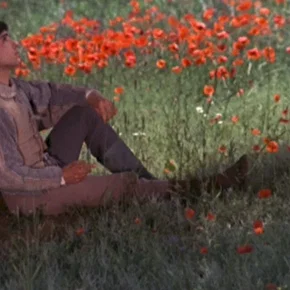 Photo du film : Francois et le chemin du soleil