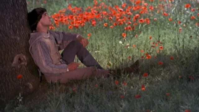 Photo 4 du film : Francois et le chemin du soleil