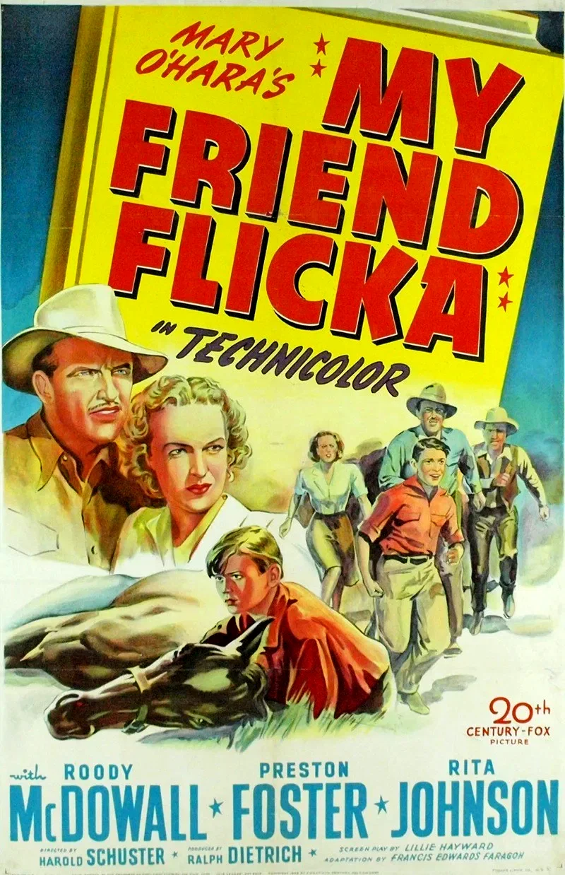 Affiche du film : Mon amie flicka