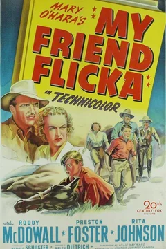 Affiche du film Mon amie flicka