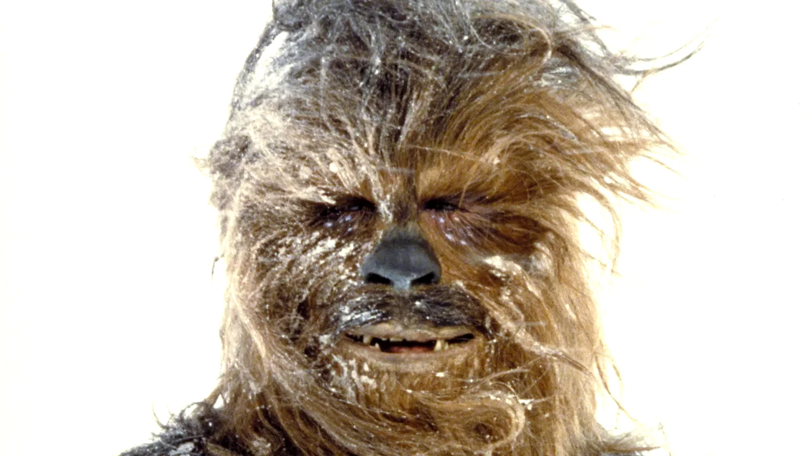 Photo 9 du film : Star Wars : Episode V - L'Empire contre-attaque