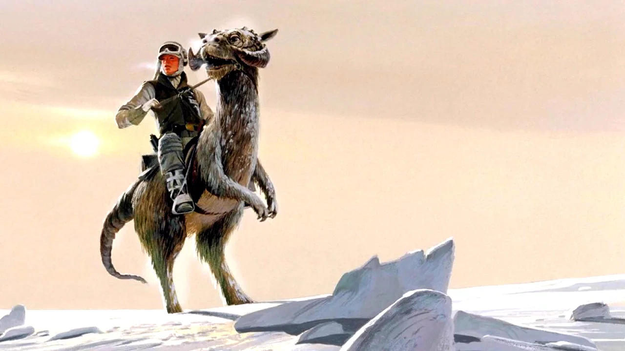 Photo 11 du film : Star Wars : Episode V - L'Empire contre-attaque