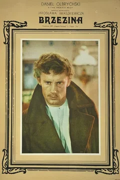 Affiche du film Le bois de bouleaux