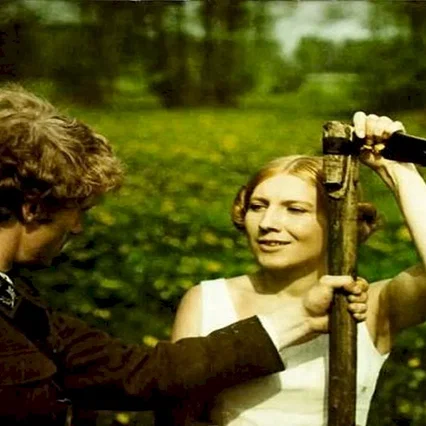 Miniature photo du film : Le bois de bouleaux