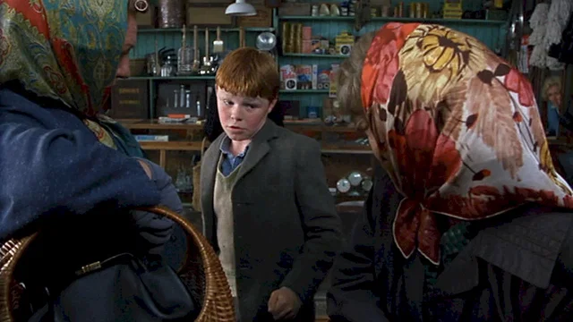 Photo 2 du film : Butcher boy