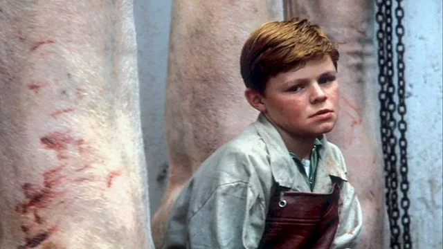 Photo 3 du film : Butcher boy