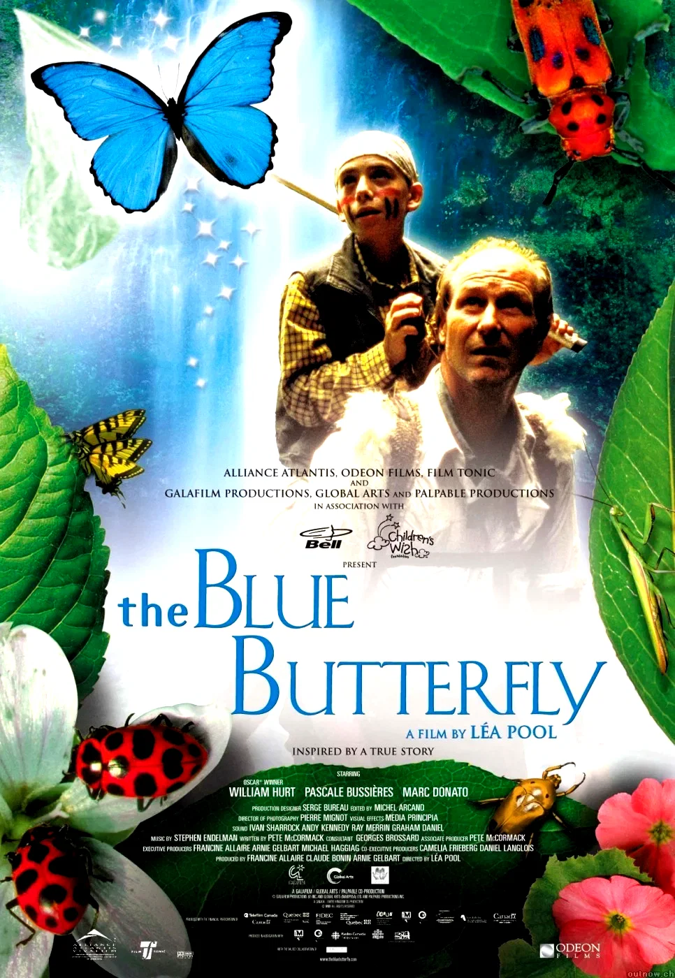 Affiche du film : Le papillon bleu