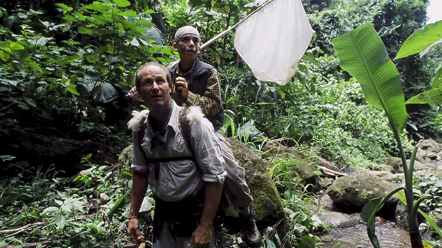 Photo du film : Le papillon bleu