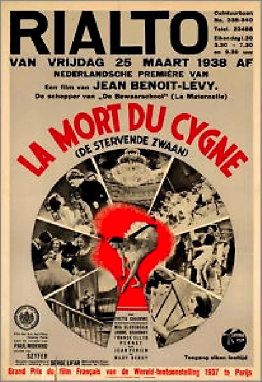 Affiche du film : La mort du cygne