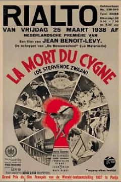 Affiche du film La mort du cygne