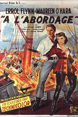 Affiche du film : A l'abordage