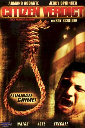 Affiche du film : Citizen Verdict