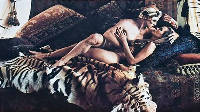 Affiche du film : Valentino