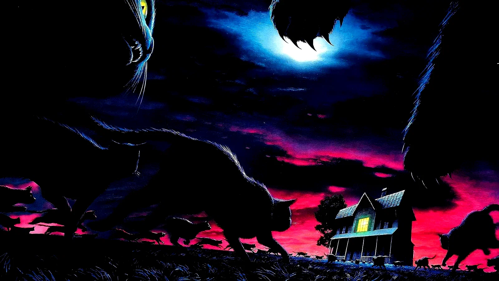 Photo du film : La Nuit déchirée