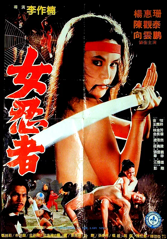 Affiche du film : Challenge the ninja