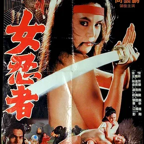 Photo du film : Challenge the ninja