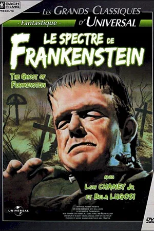 Affiche du film : Le spectre de frankenstein