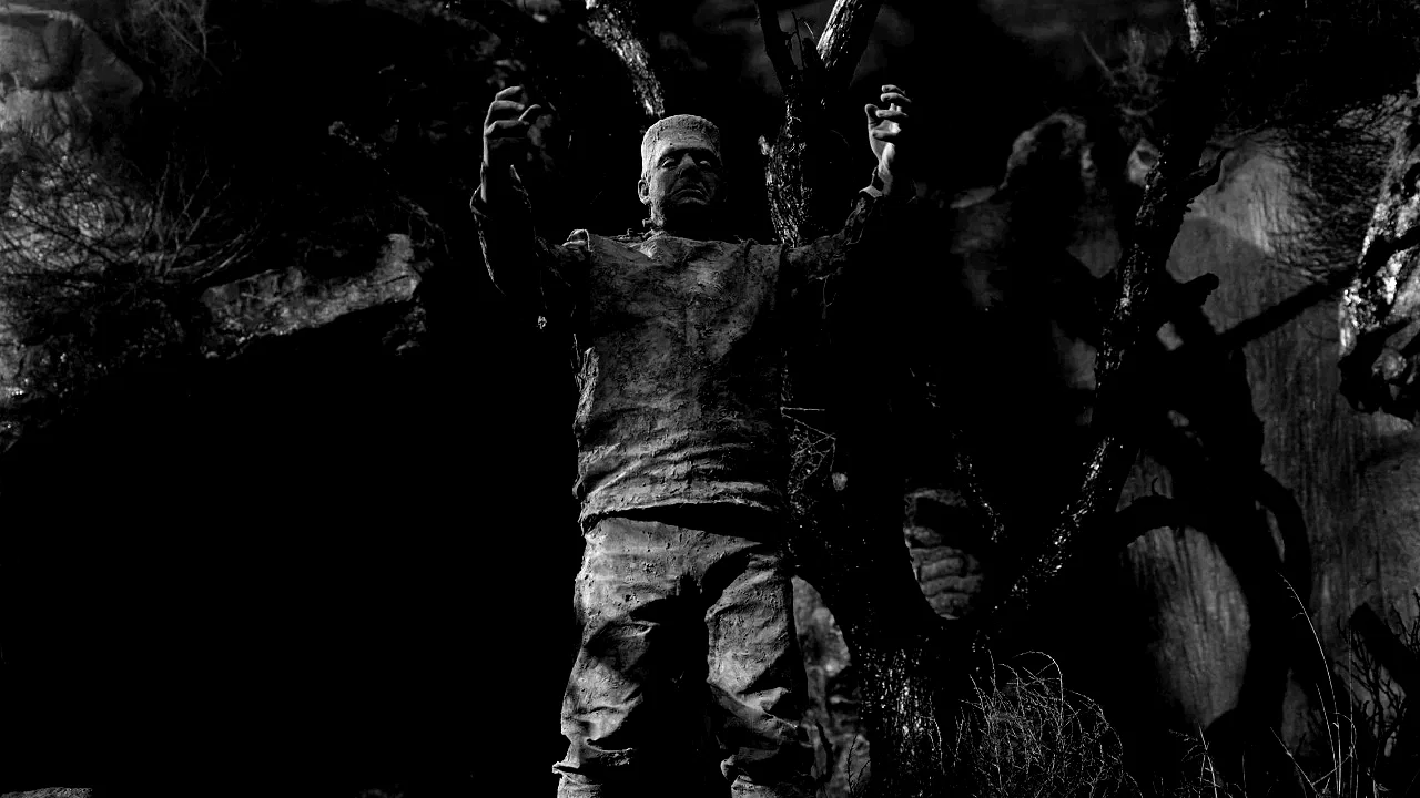 Photo 5 du film : Le spectre de frankenstein