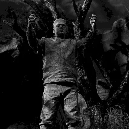 Miniature photo du film : Le spectre de frankenstein